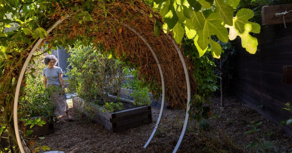 They created a mini-farm outside their Culver City home