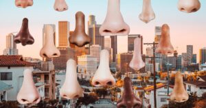 Los Angeles has many scents. What does L.A. smell like to you?