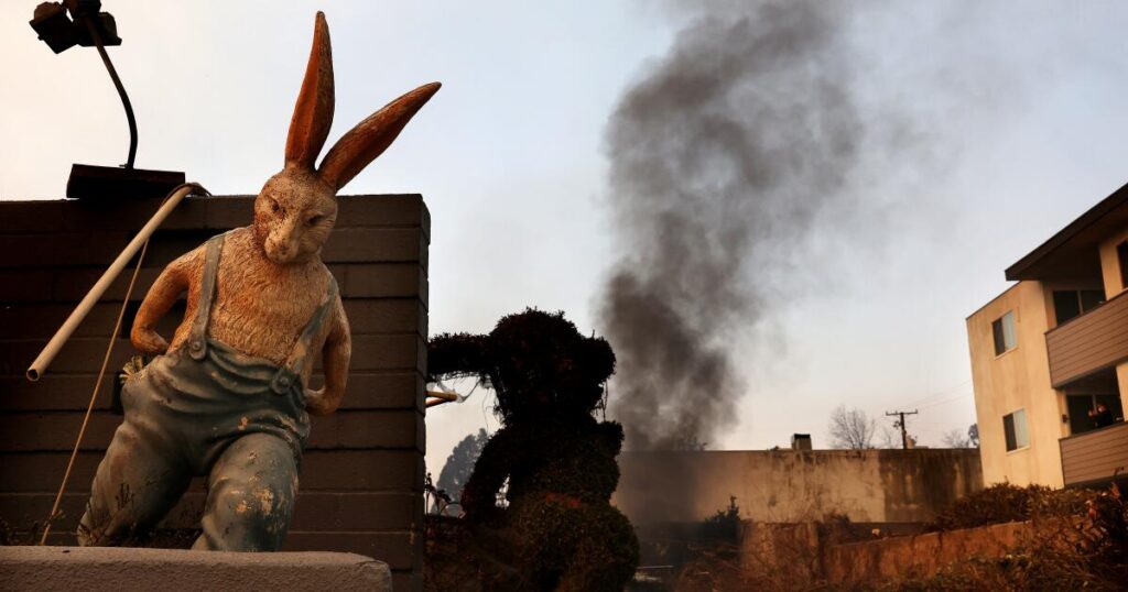 The Bunny Museum, destroyed by Eaton fire, vows to return